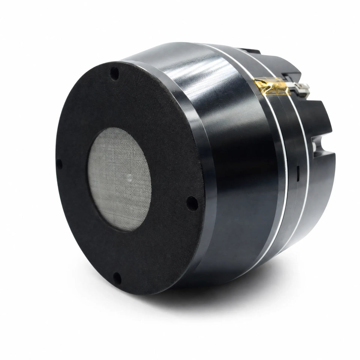 Driver 2" Neodymium Pro R&B SOUND RB-PROMND